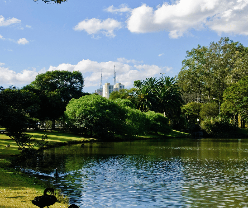 Ibirapuera Park